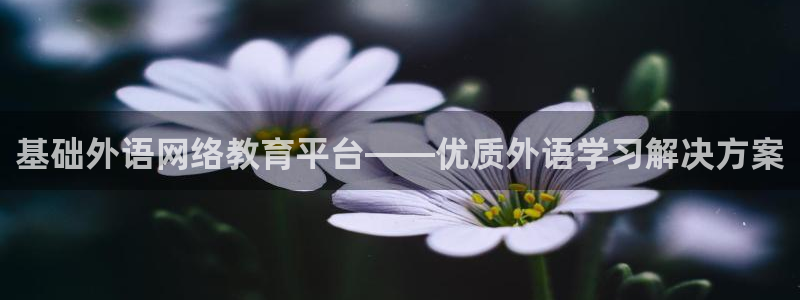 j9九游国际真人
